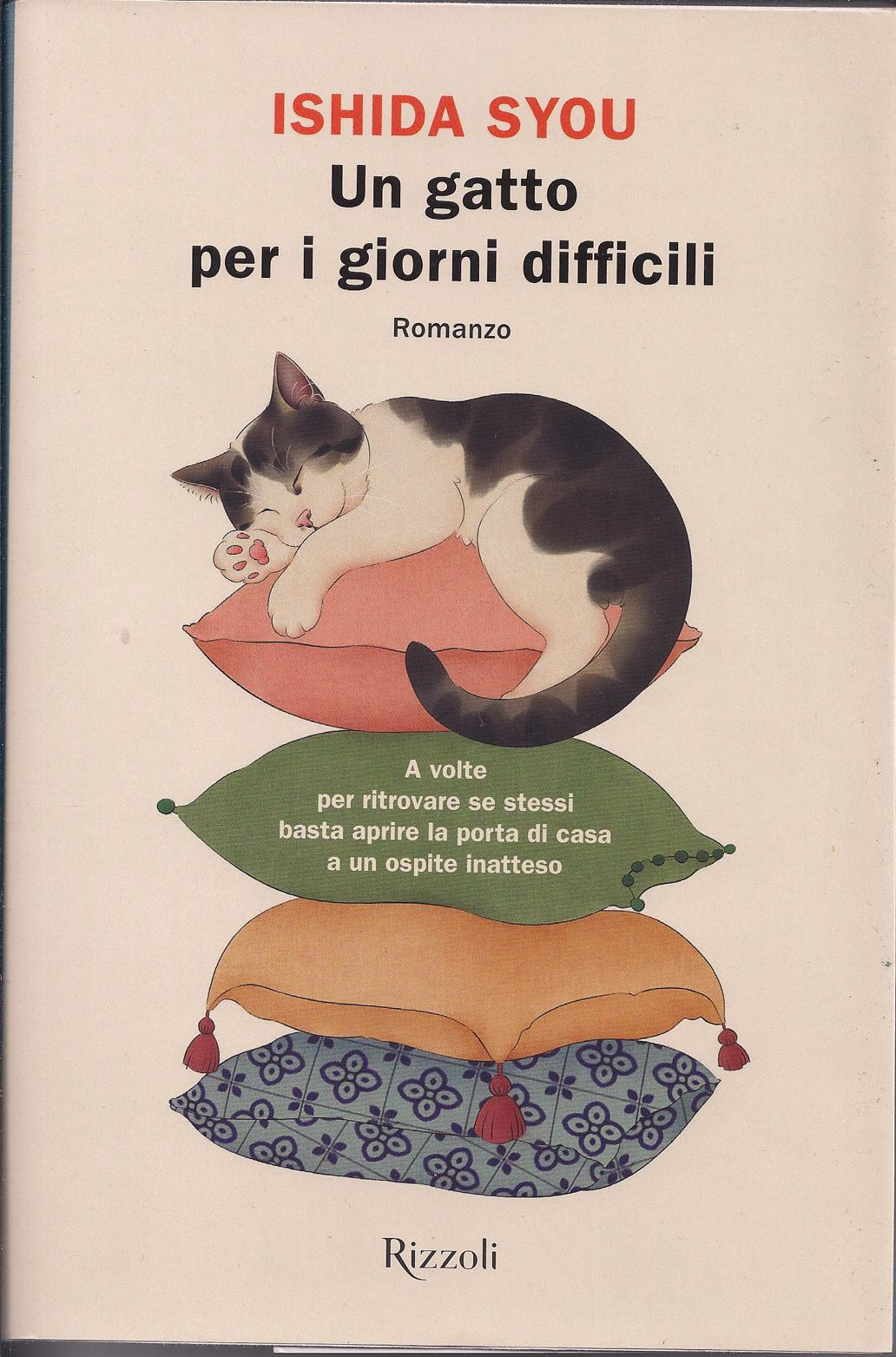 La copertina di Un gatto per i giorni difficili di Ishida Syou